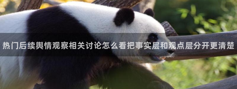 吃瓜入口导航