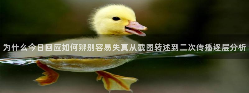 91吃瓜网络资讯