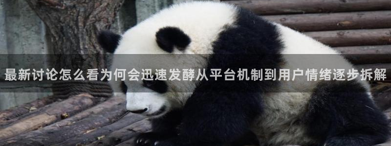 91吃瓜爆料导航