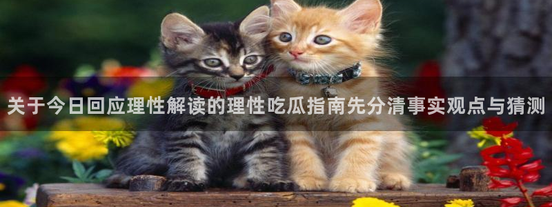 91吃瓜热点资讯