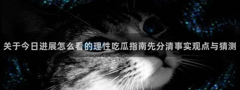 91吃瓜网页入口