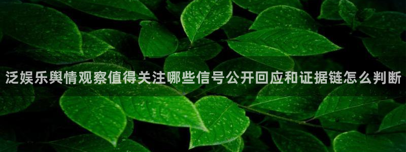 吃瓜在线观看网页：泛娱乐舆情观察值得关注哪些信号公开回应和证据链怎么判断