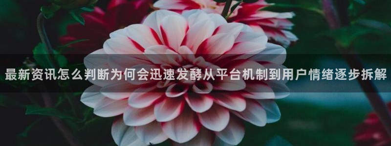 91吃瓜热门热点：最新资讯怎么判断为何会迅速发酵从平台机制到用户情绪逐步拆解