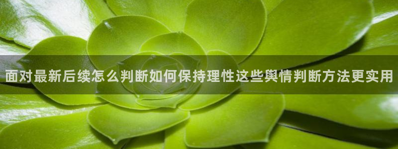 91吃瓜在线观看网页:面对最新后续怎么判断如何保持理性这些舆情判断方法更实用